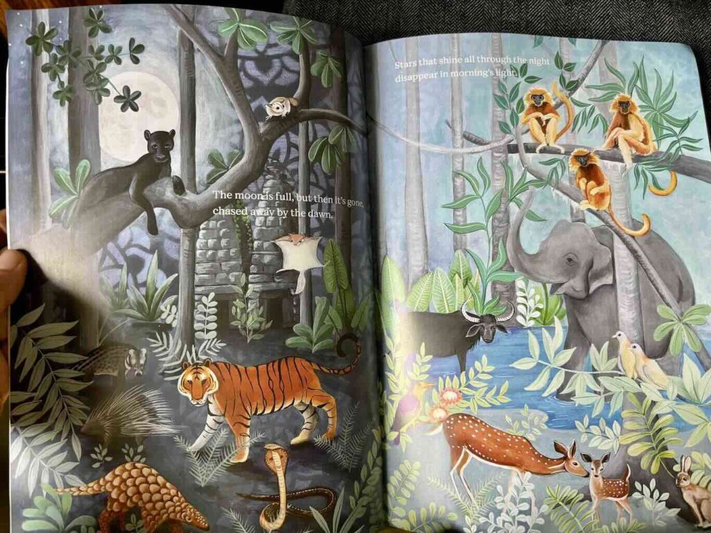 Double spread of inside pages of the book, featuring a black panther, tiger, pangolin, snake, deer, gaur, elephant, monkeys and more