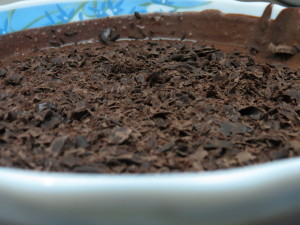 Chocolate Mousse Chocolate Mousse