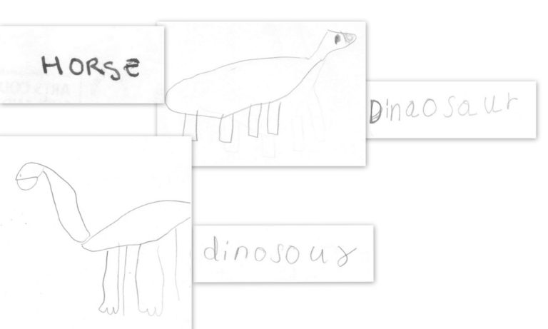 What animal are you?