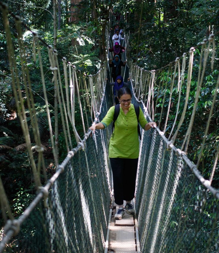 Canopy Walkway – Taman Negara