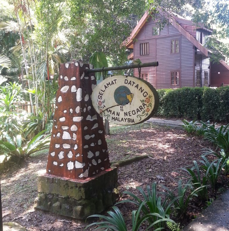 Taman Negara – Part I