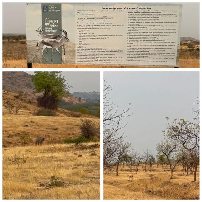Kadbanwadi Grasslands