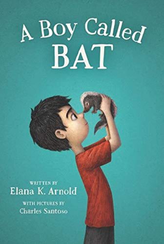 A Boy Called Bat book cover A Boy Called Bat book cover
